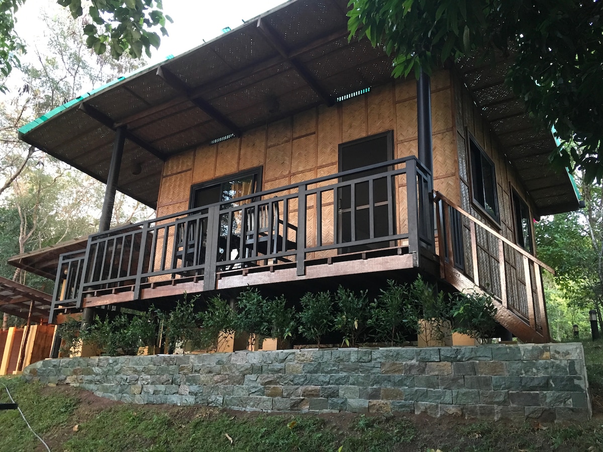 A charming Native House is positioned atop a stone foundation, surrounded by greenery. A spacious porch with railings offers outdoor seating, complemented by potted plants along the base. The house features an elevated design with multiple windows, allowing natural light to fill the interior.