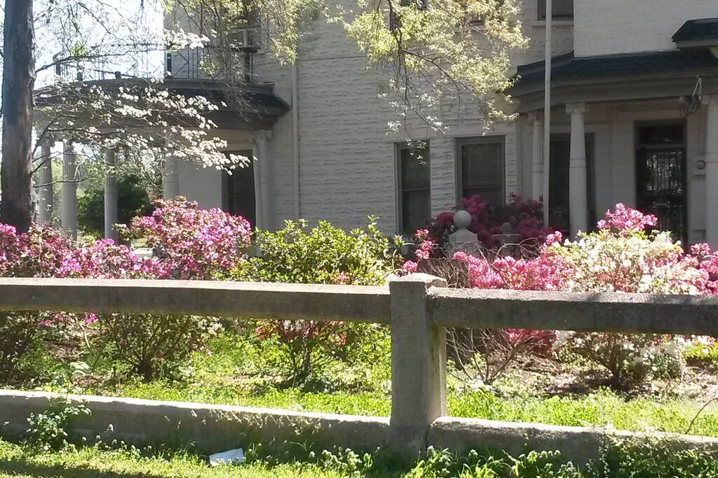 Beautiful Springtim