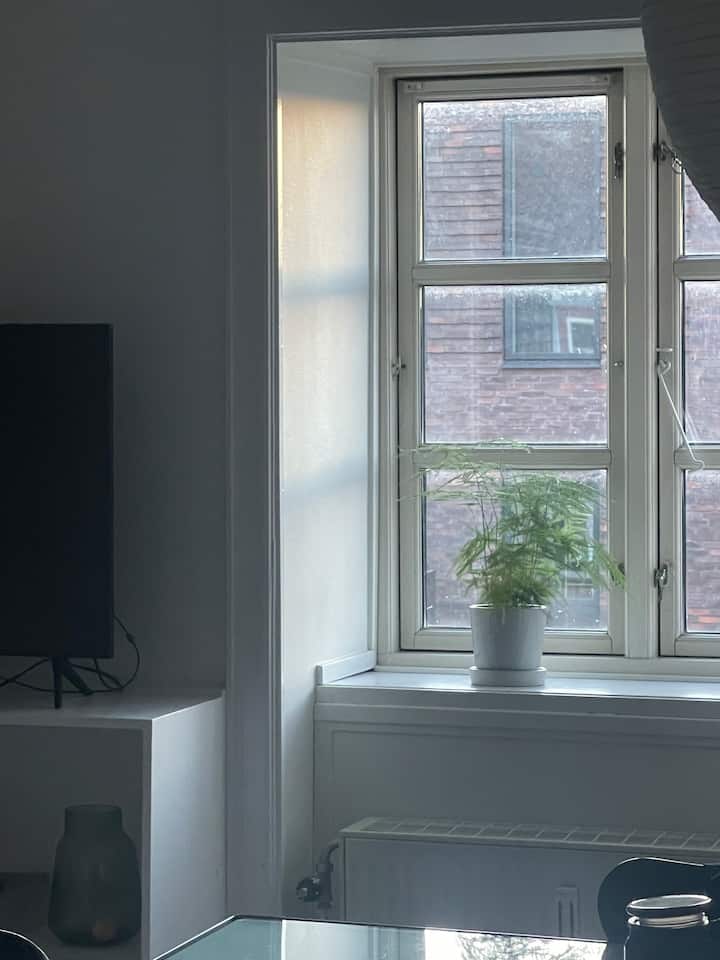Personlig Og Hyggelig Lejlighed På Nørrebro - Kopenhag