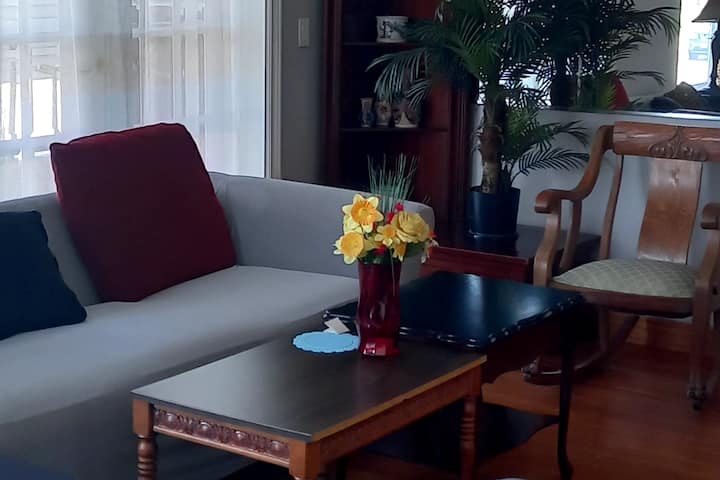 Waterfront Home Windsor-kingview( Riverview) - Windsor
