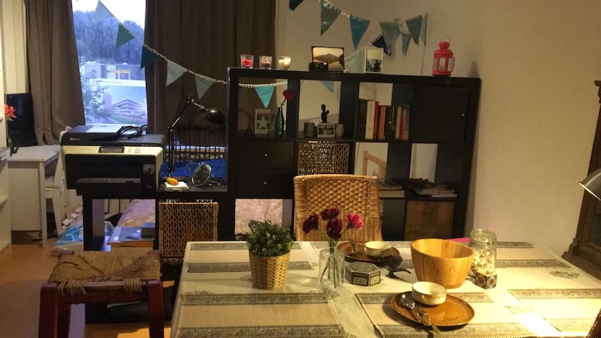 Cosy Studio in Amsterdam