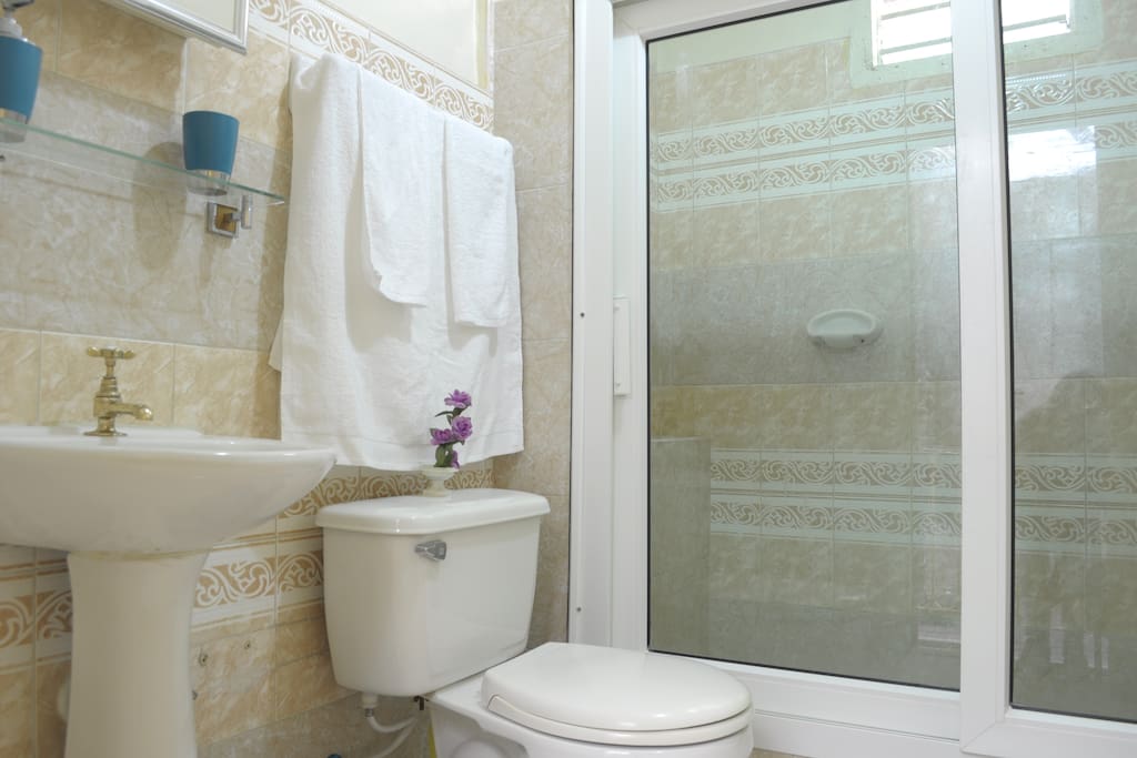 Bathroom/ Baño