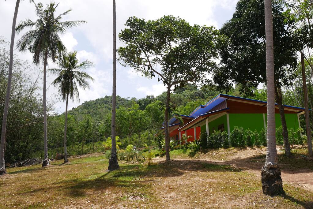 Palm garden