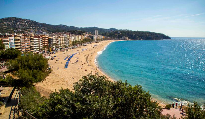 Hermoso estudio en estilo español.