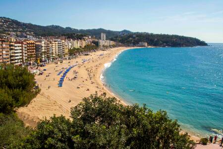 Hermoso estudio en estilo español.