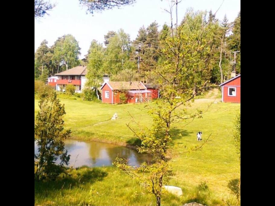 The surrondings ...omgivningen