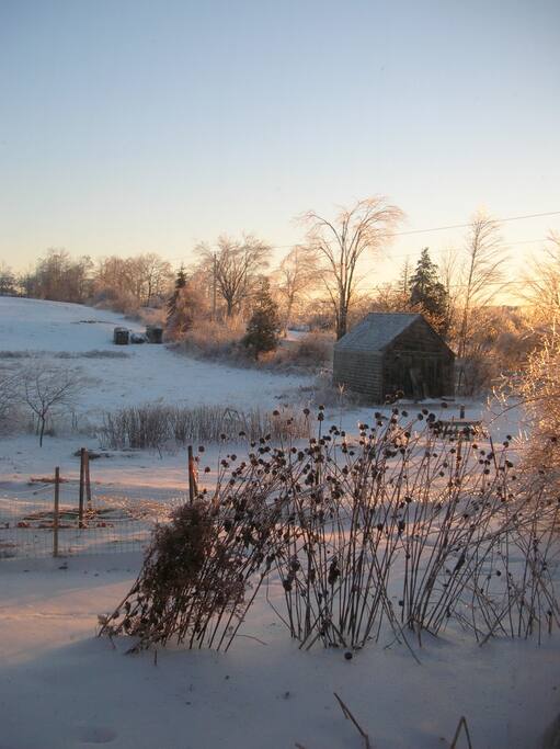 Beautiful in all seasons