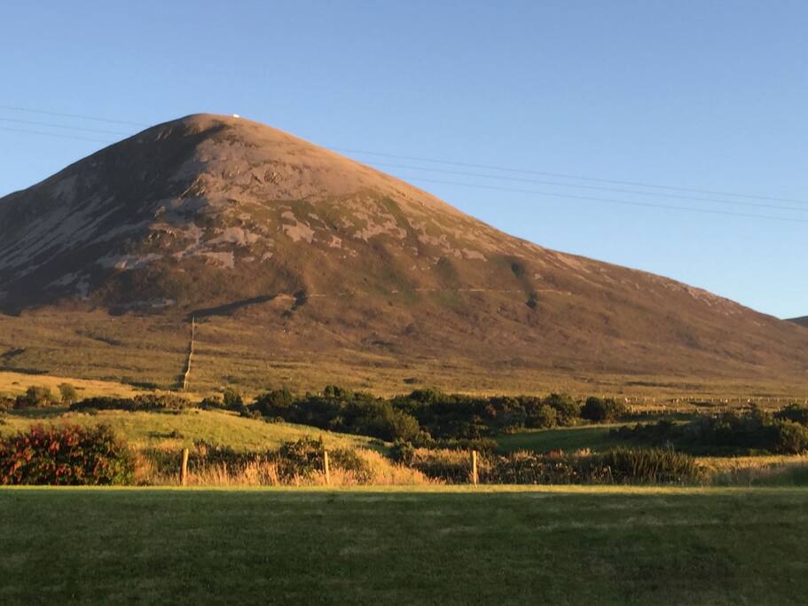 Summer view from kitchen window