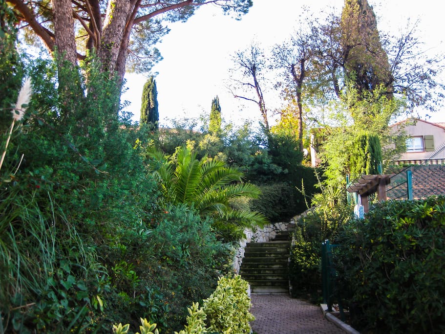 Green walk of our residential
Promenade verte de notre habitation.
Unsere Grüne Private Promenade.
El verde paseo de nuestra urbanización privada.