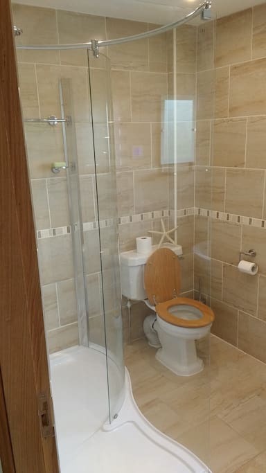 En-suite bathroom (off master bedroom).