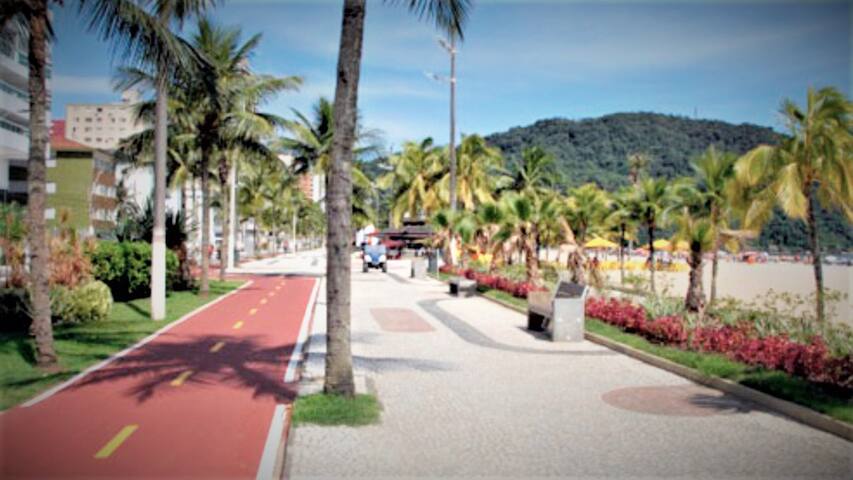 Canto do Forte -  Local Nobre - TrevizZo