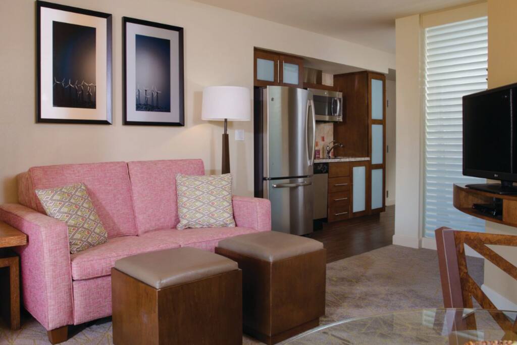 Living Area w/sofa bed and Kitchenette