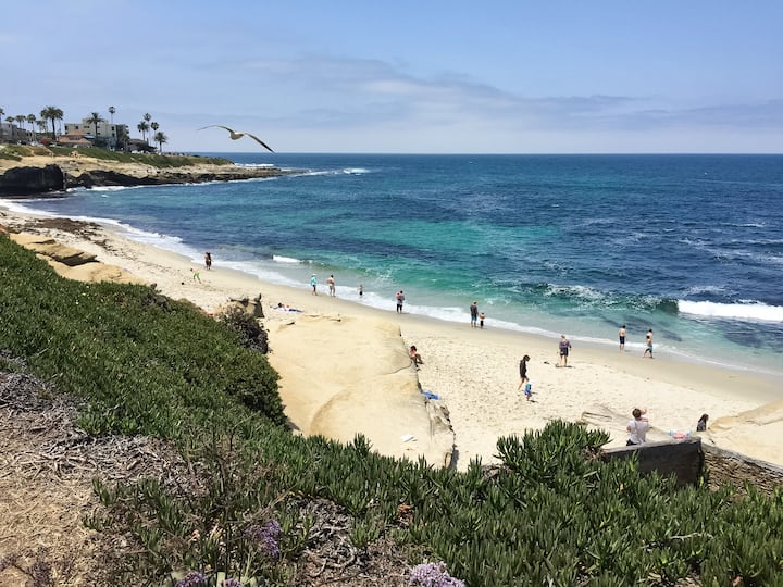 Top 38 Airbnb Vacation Rentals In La Jolla, California Updated 2024