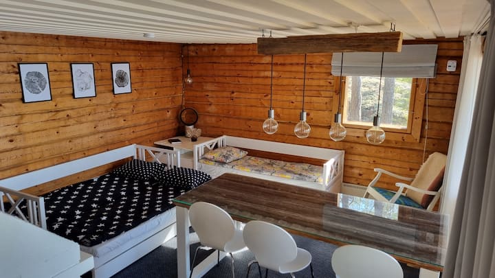 Living room when beds are opened