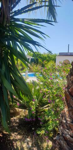 New Villa with swimming-pool,San Vito dei Normanni gallery image 4