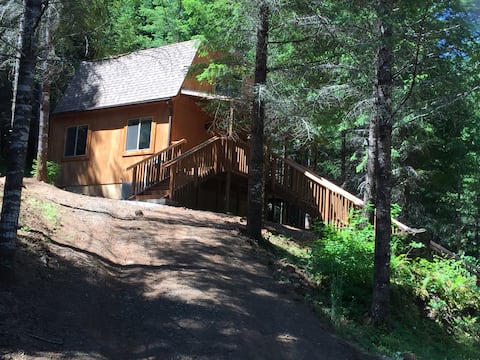 Lone Wolf Cabin, pet friendly