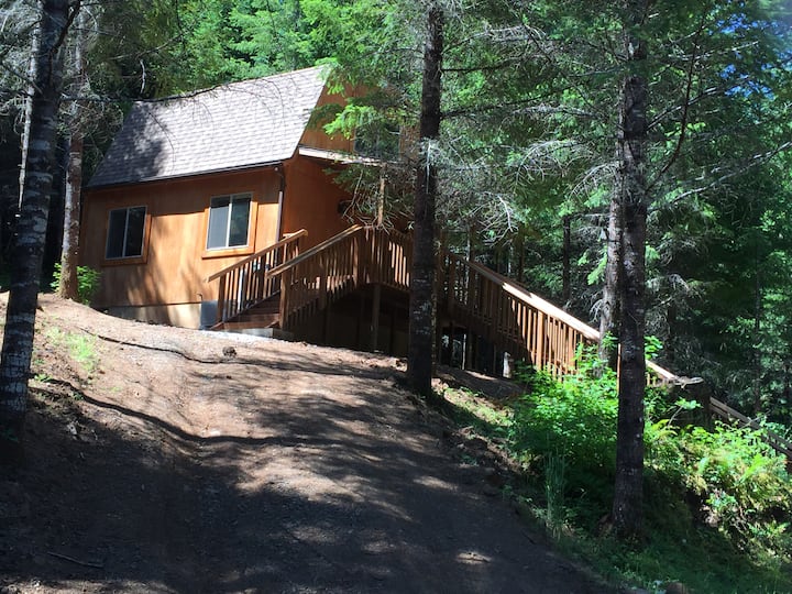 Lone Wolf Cabin, pet friendly