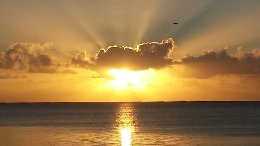 Cottage - Waterview, Kayak, Snorkel