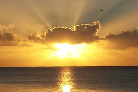 Cottage - Waterview, Kayak, Snorkel
