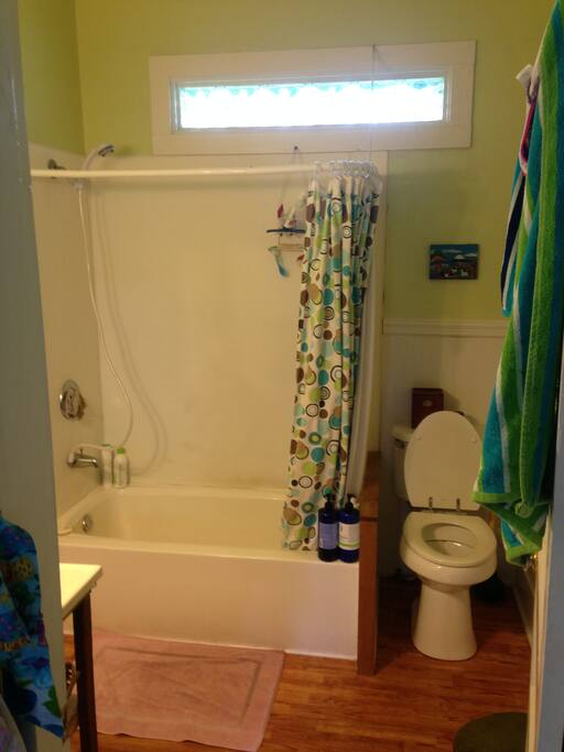 The only bathroom for now!