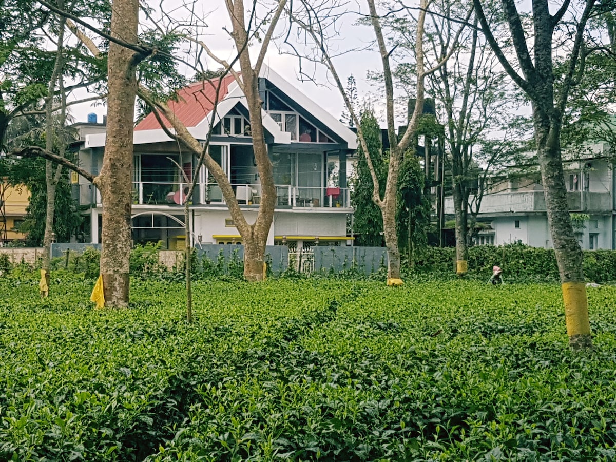 A view of the accommodation is provided amidst lush tea gardens. The two-story building features a modern design with a red roof and large windows. Surrounding trees are visible, creating a serene atmosphere in the green landscape.