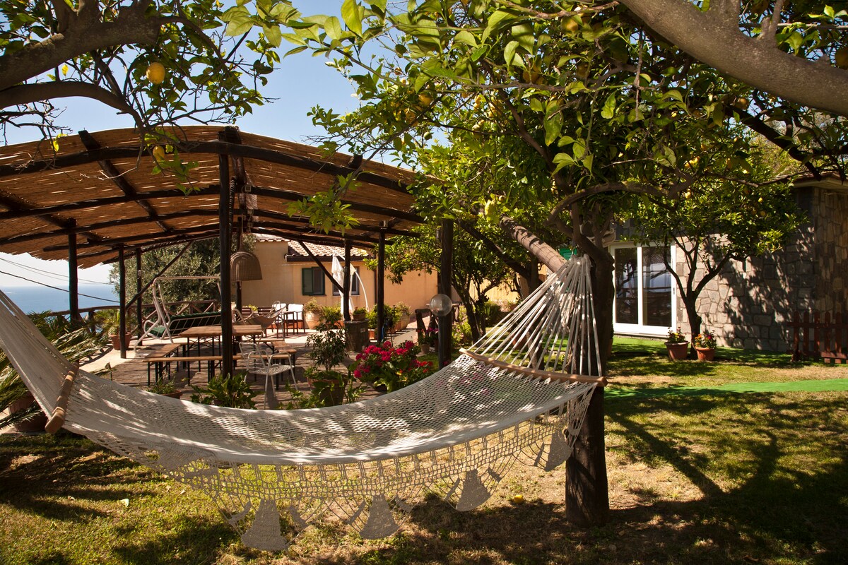 A shaded outdoor area features a large gazebo, furnished with a table and benches for dining. Nearby, a hammock is suspended between trees, offering a relaxing spot. Lush greenery surrounds the space, with glimpses of the sea visible in the background.