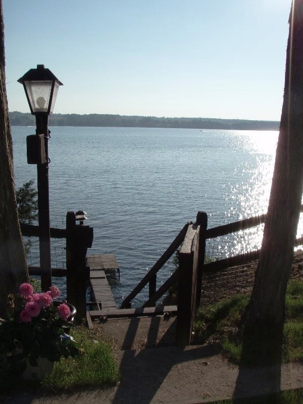 A pathway leads to the lakefront, bordered by a flowering plant. A wooden dock extends into the sparkling water, with sunlight reflecting off the surface. A lamppost stands along the path, enhancing the serene setting.