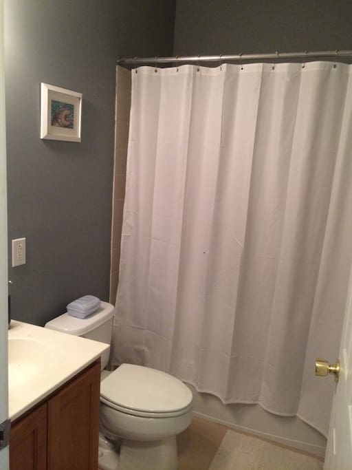 Guest Bathroom