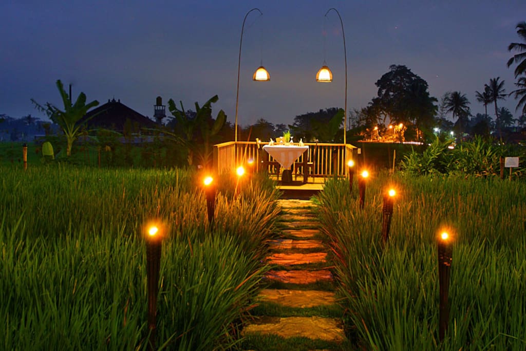 Romantic dinner in the rice terrace