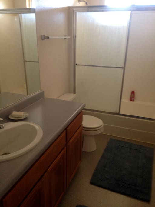 100% fluffy cotton towels. This bathroom has all the extra amenities that you may have forgotten at home. We want to make sure you are super comfy and everything that you may need isright there. If our other listing is booked as well ,this bathroom would be share with the single or couple in the other room. See our listing if Fiddlers Green is you want to be guaranteed a private bath.