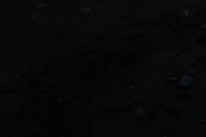 სურათი 1 განცხადებაში „Ცალკე ოთახი cahuita 😎 cool“