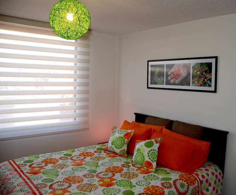 Bedroom with blackout shades rolled up for during the day.