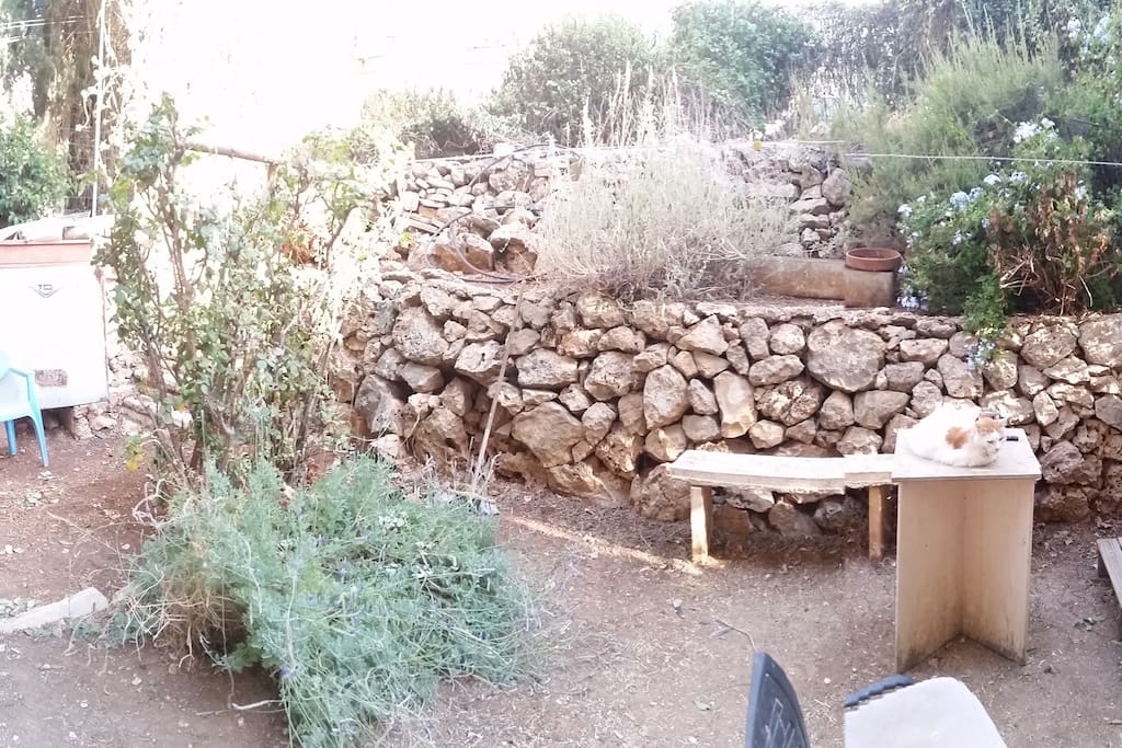 Our lovely private Garden