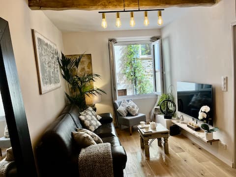 Propriété Airbnb réussie: Newly Renovate Charming Townhouse / AC throughout à Valbonne