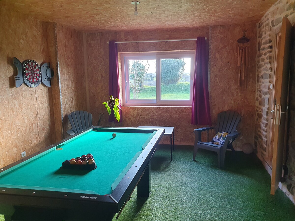 A recreational room features a pool table with a set of colorful balls arranged on the green felt. Large windows allow natural light to brighten the space, while two armchairs and a small table provide comfortable seating. Dart boards are mounted on the wall, and a potted plant adds a touch of greenery.