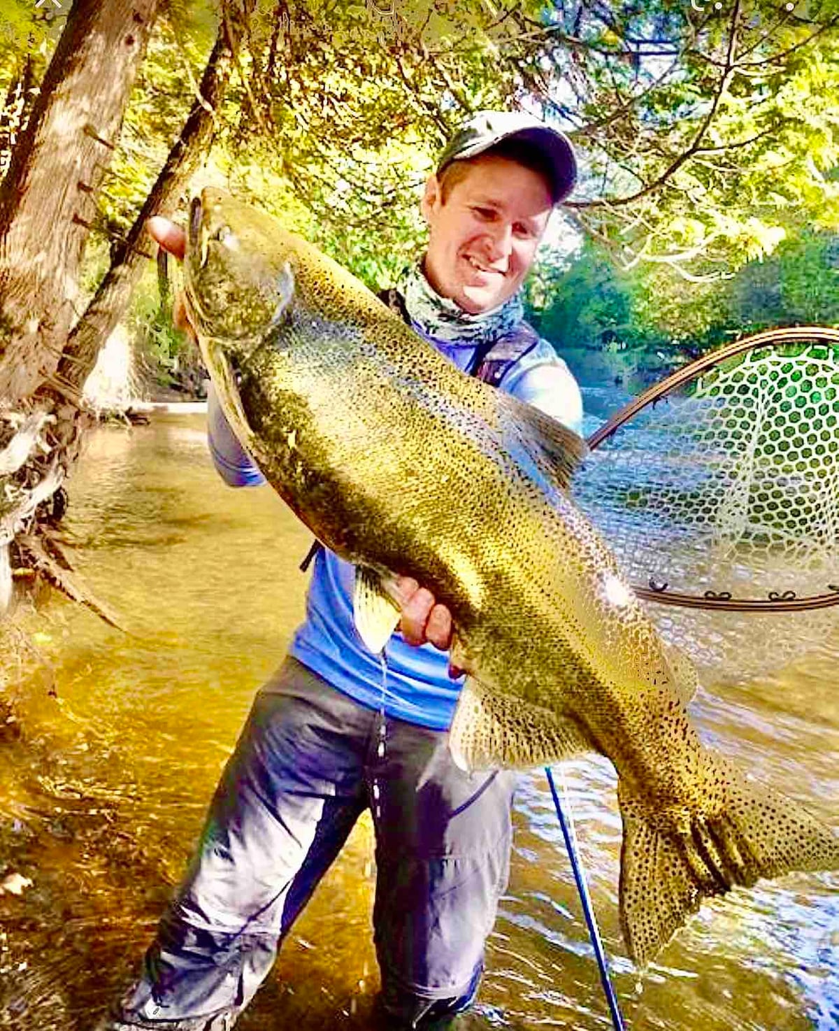 Pesca de salmón en el estanque Michigan: cosas que debe aprender - ✔️Todo  sobre viajes✔️