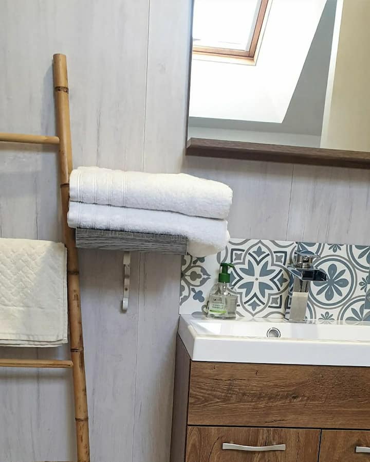 Salle de bain chambre Jardin 
Identique à la salle de bain chambre Cosy
avec 1 douche 