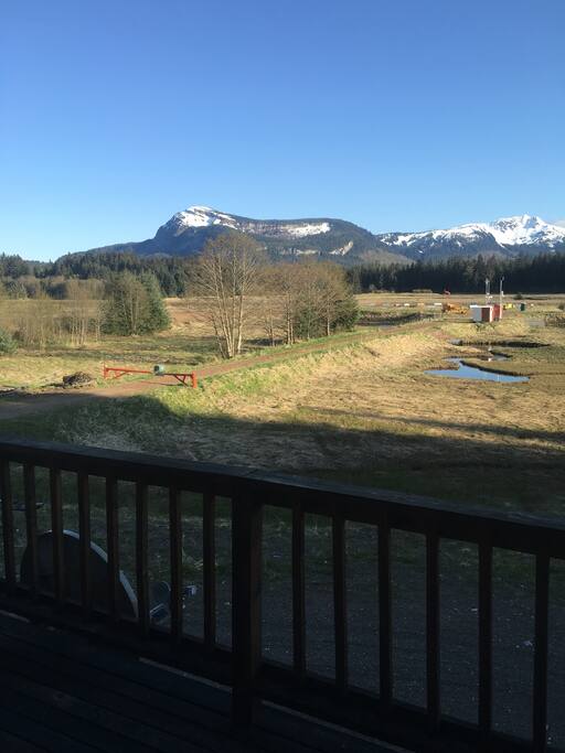 The View