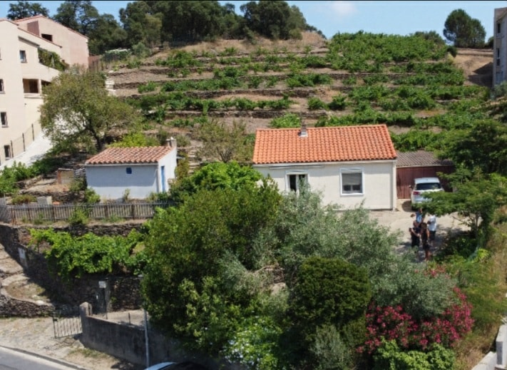 A charming single-story house is set against a backdrop of lush vineyards and gentle slopes. The property is surrounded by greenery and features a red-tiled roof. Nearby, vehicles are parked, and terraced areas are cultivated, providing a sense of tranquility in a rural setting.