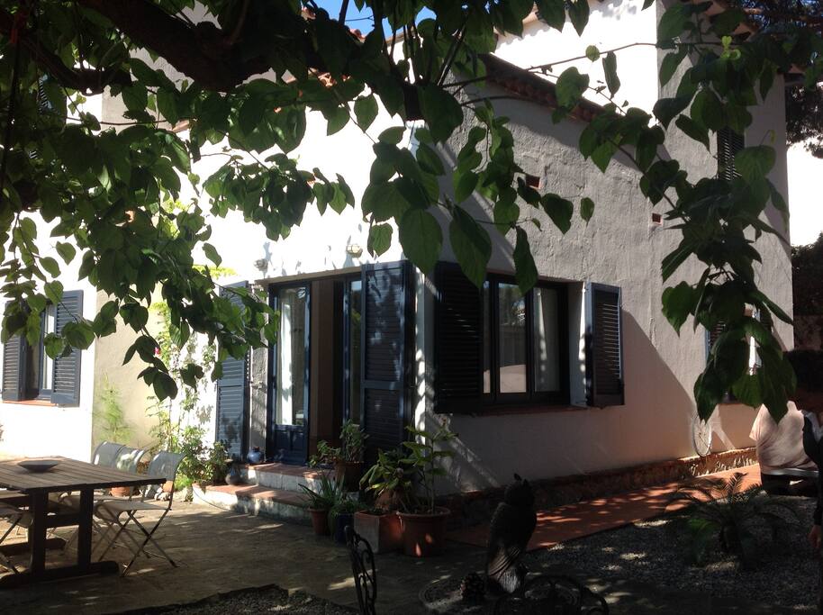 Vista desde el jardin. Garden view