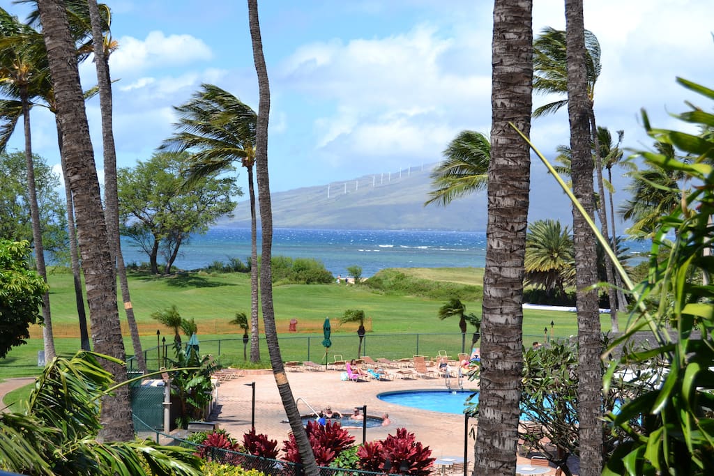 view from the living room and lanai