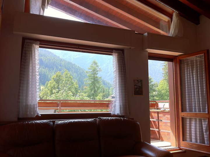 Sebule katika majira ya joto