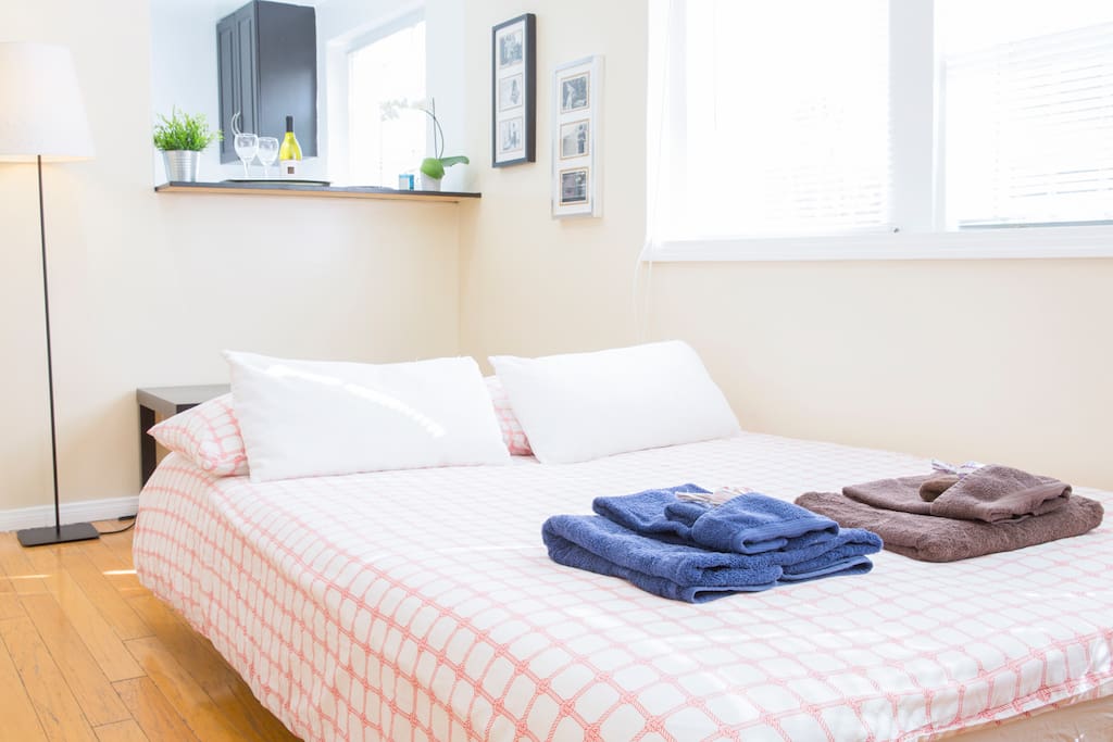 Sofa-bed open, queen-size mattress, sleeps two people.