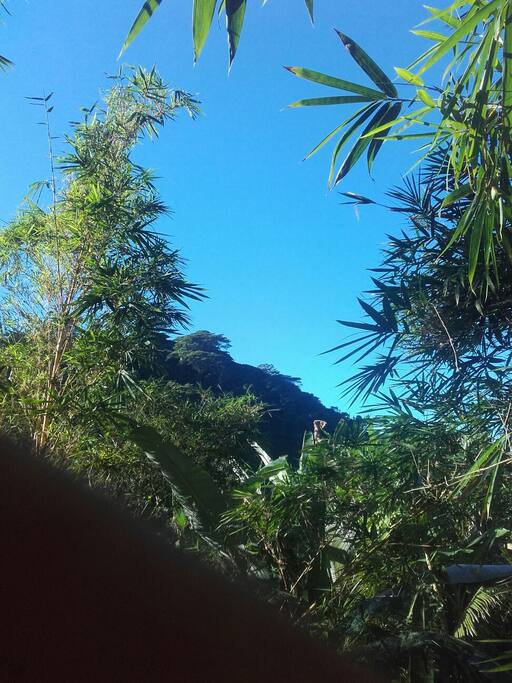 vue au sud
