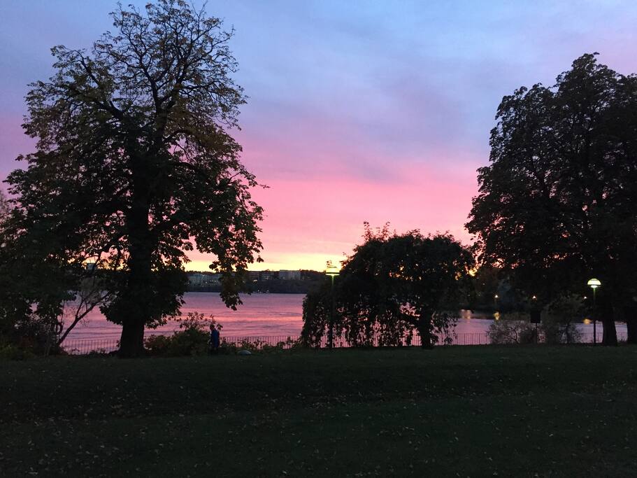 Sunset at the back yard of the house