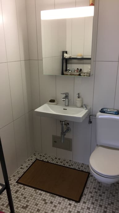 Salle de bain avec toilettes. L'autre salle de bain dispose d'une baignoire.