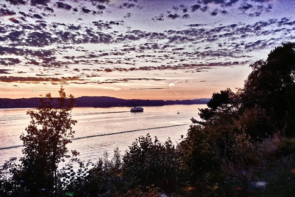 "Hurtigruten" passes right by.
