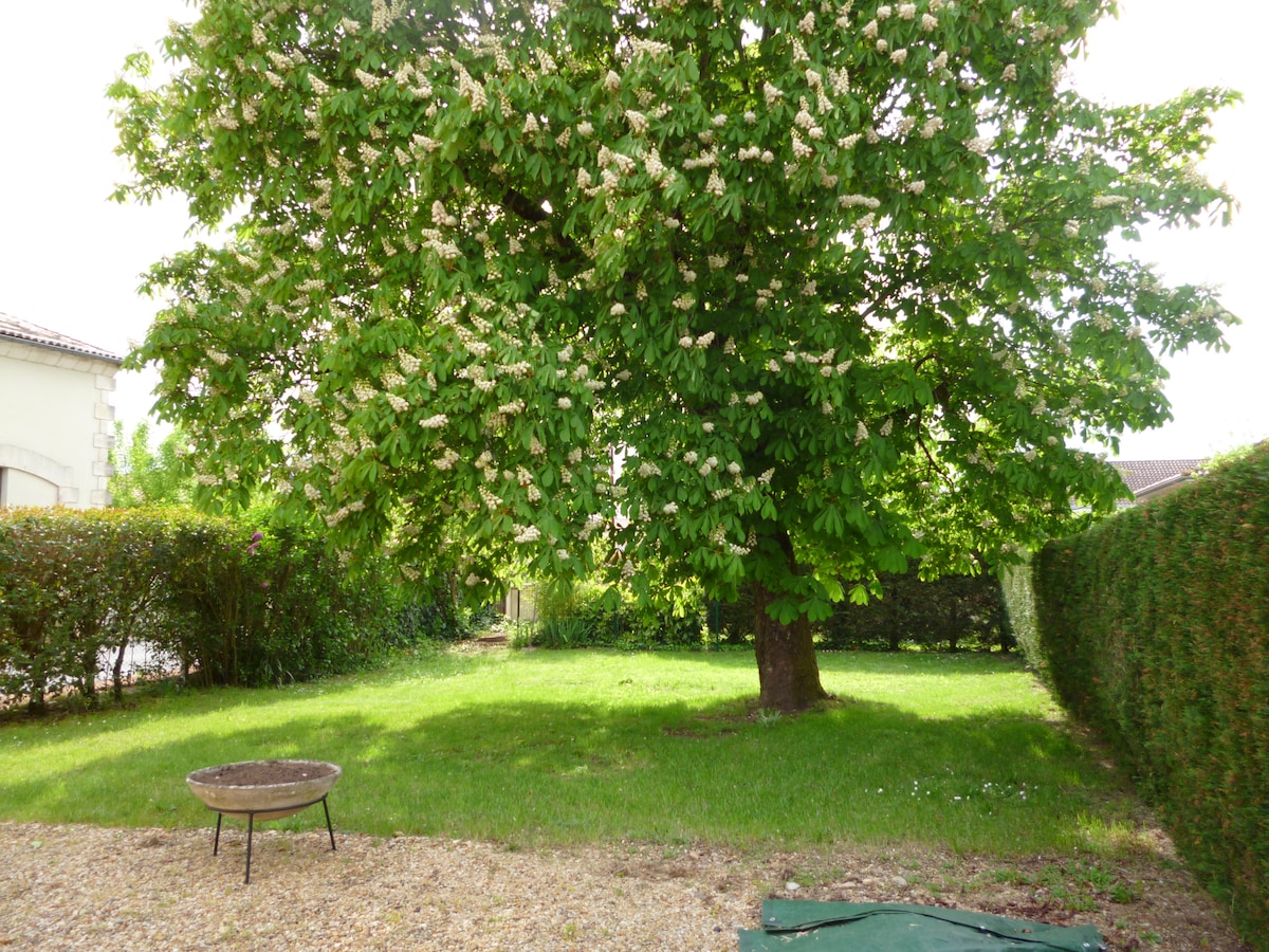 A spacious garden is presented, featuring a large tree with lush green foliage surrounded by well-maintained hedges. A circular fire pit is located on the gravel area, complementing the grassy space that invites relaxation and outdoor activities.