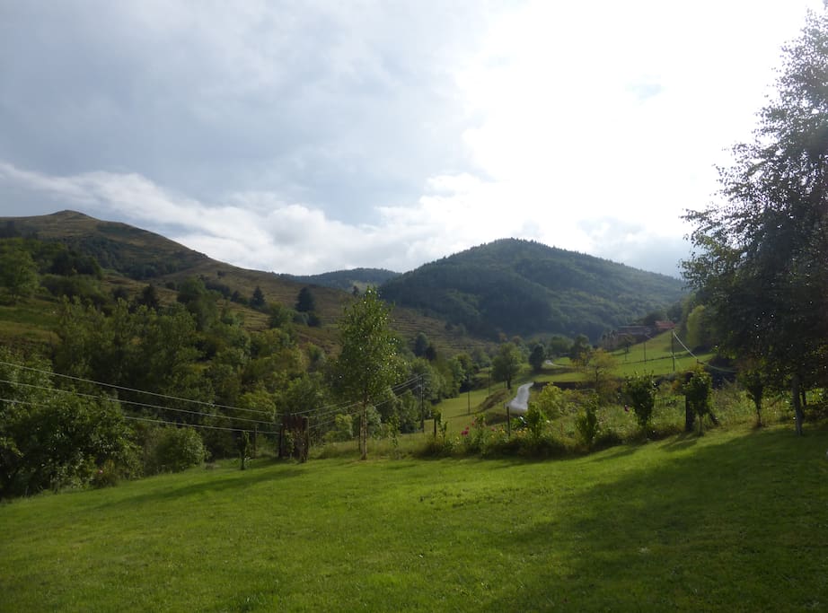 ...dans un environnement paisible