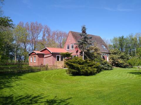 Cozy house with large land in rural area near the North Sea.